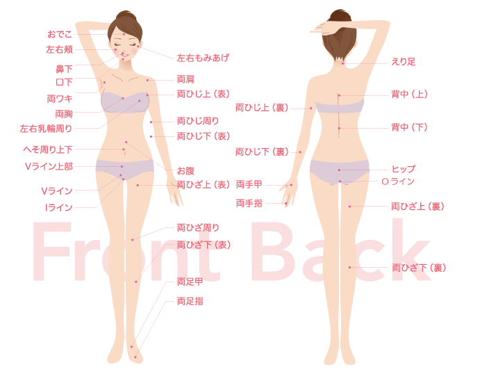 シースリー八王子店は全身53ヶ所脱毛